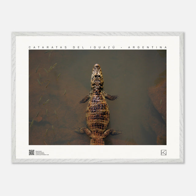 0170858c-324a-4dcc-b0a1-0459c3f4122a