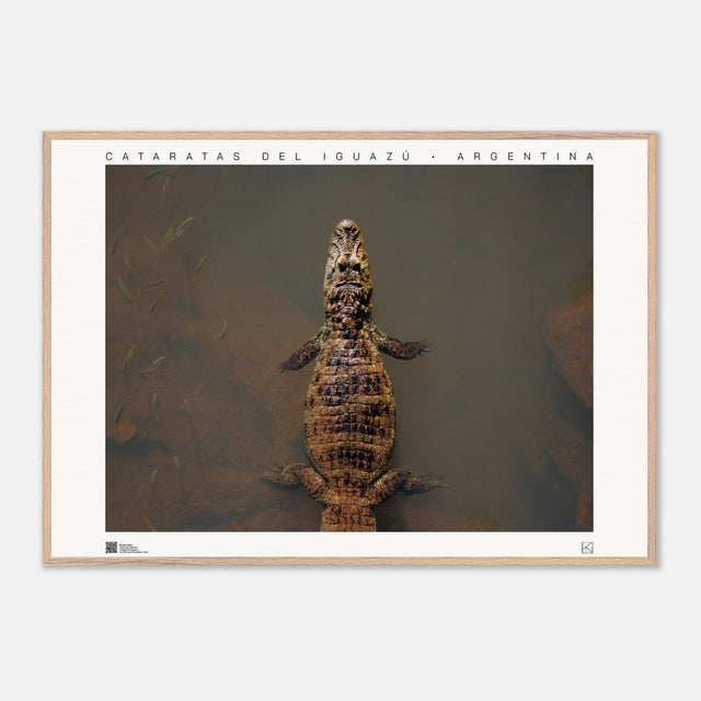 1df4a98d-ad21-4b30-a96e-f807dd725138