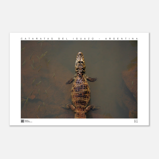 334bba47-7db1-43bb-9955-d0bf4a7c4503