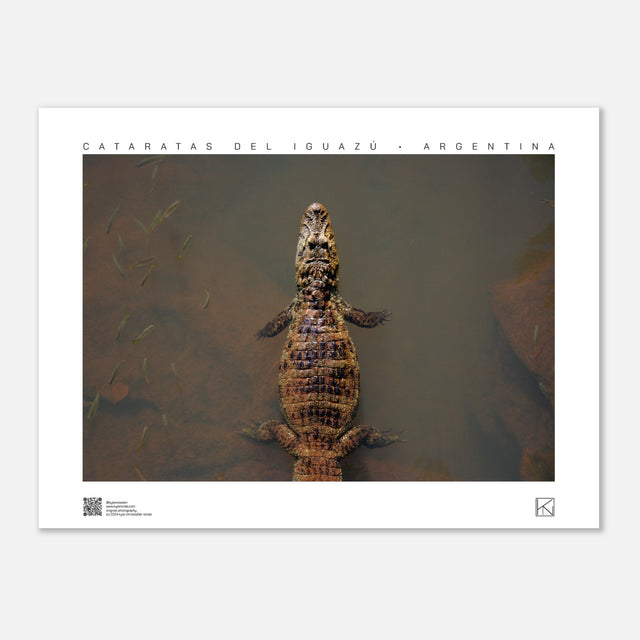 3877b33c-2de9-4dab-9da9-ccb4e45aed09