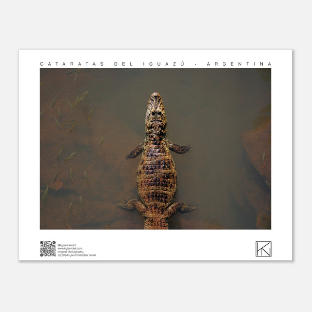 5d2e0661-af54-406c-a9c2-a4a3a1143abf