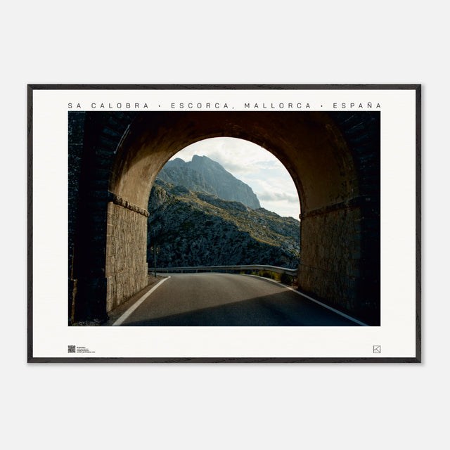 62113011-8510-49dc-84c1-caa7e9ec1809