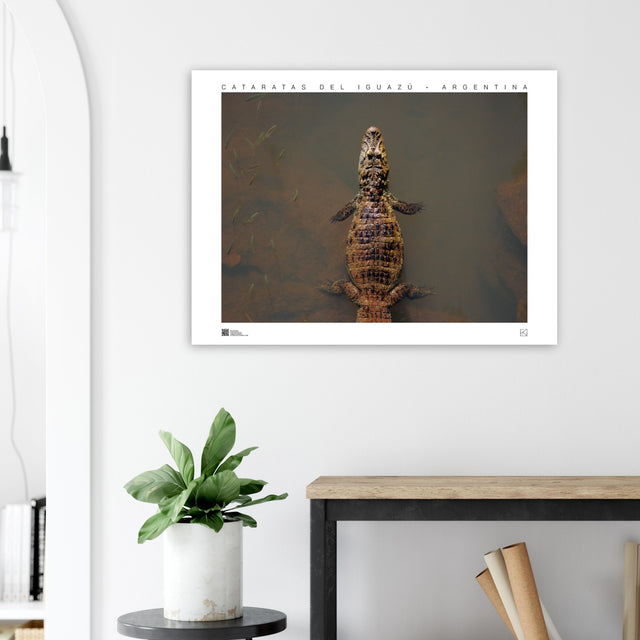 a05c4553-6554-4e21-acab-0c7436135000