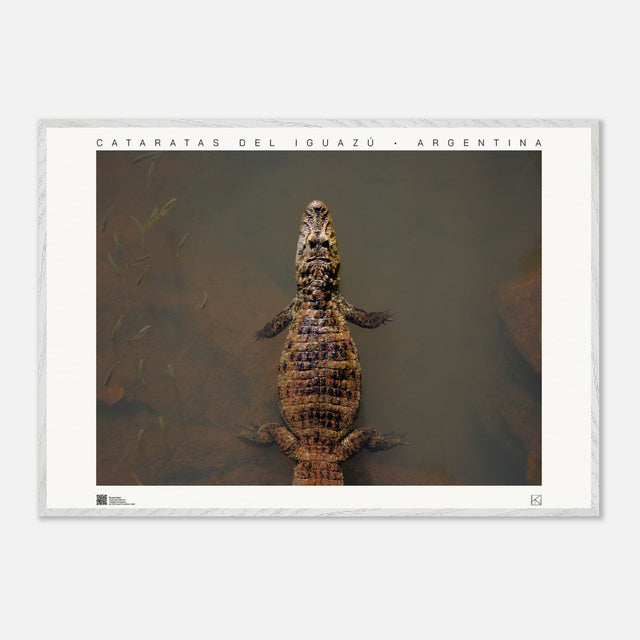 a58d3de7-4f21-4dbf-9cb9-1da7bed7708a