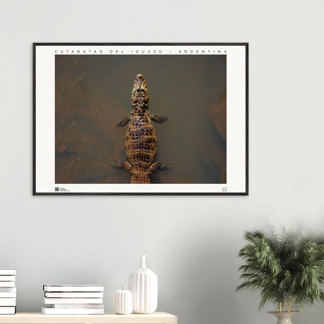 a887be70-59f5-4442-8aa6-a4d8957253ff