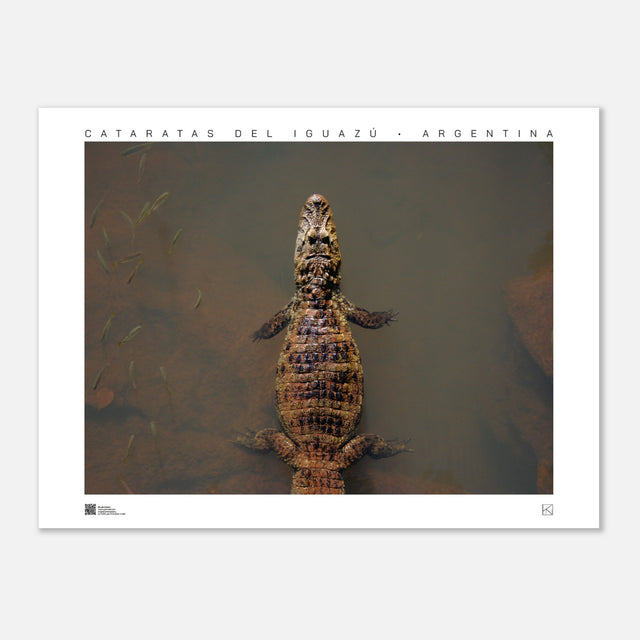 ab29a31c-e5ab-4ff8-8cbf-d57f813518ef