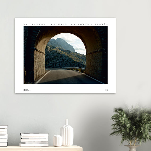 d741619b-a013-486b-9d7c-63c5267952b2