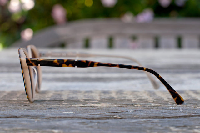 Topanga in Hawksbill - polarized